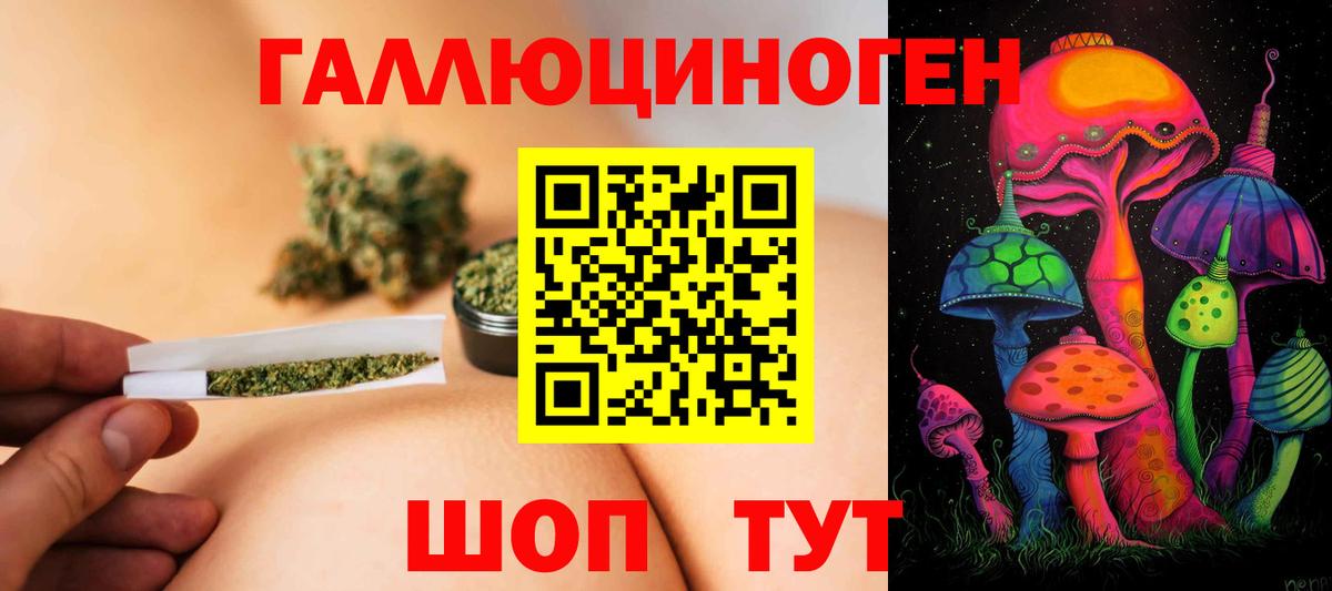 Псилоцибиновые грибы прущие грибы  Вход с VPN  Прохладный 